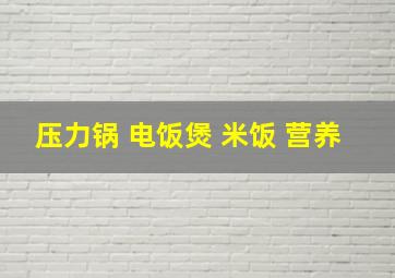 压力锅 电饭煲 米饭 营养